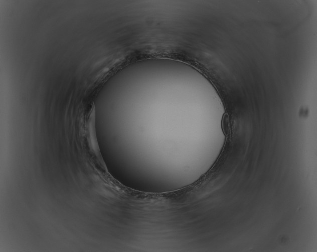 X0000091511250200708311220