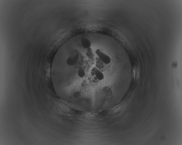 X0000091511251200708311220