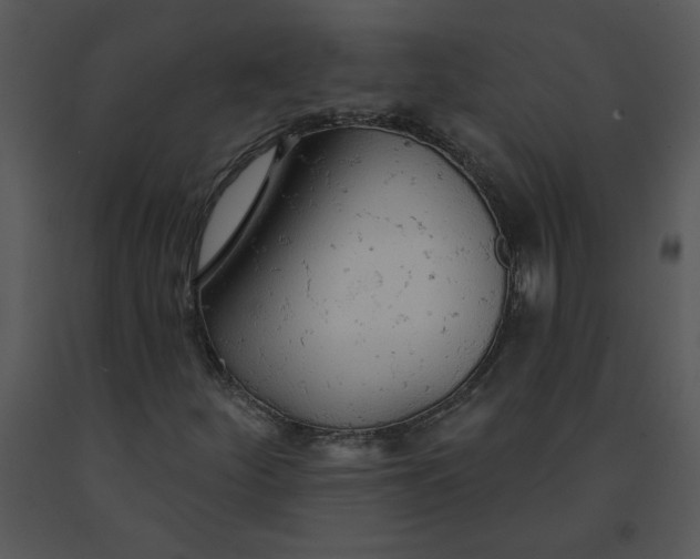 X0000091511252200708311220