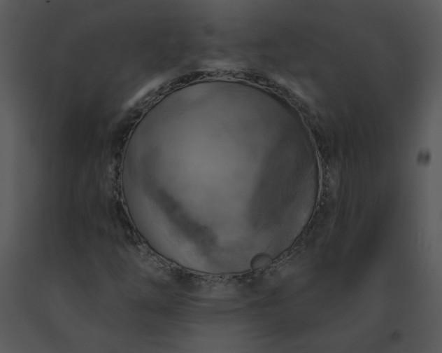 X0000091511254200708311220