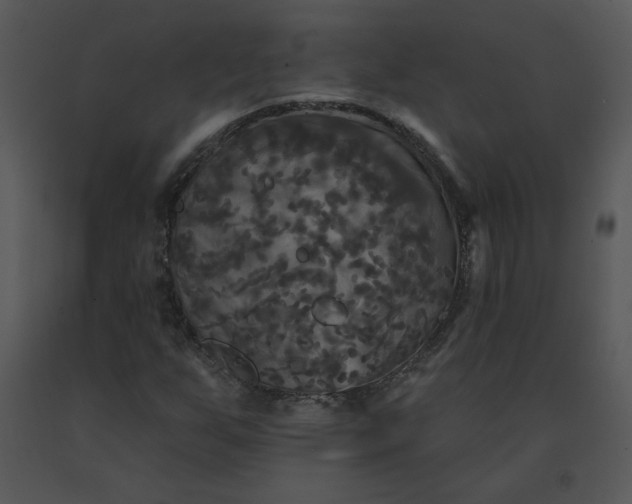 X0000091511255200708311220