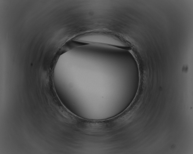 X0000091511257200708311219