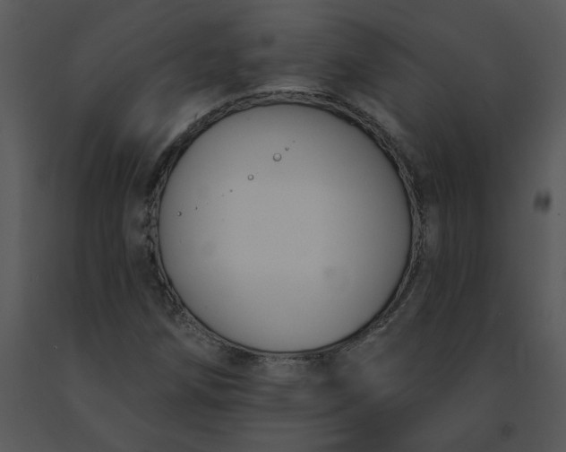 X0000091511258200708311219