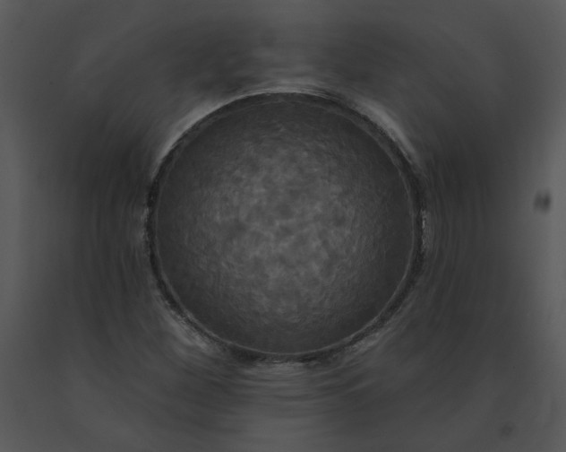 X0000091511260200708311219