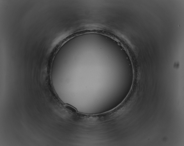 X0000091511261200708311219