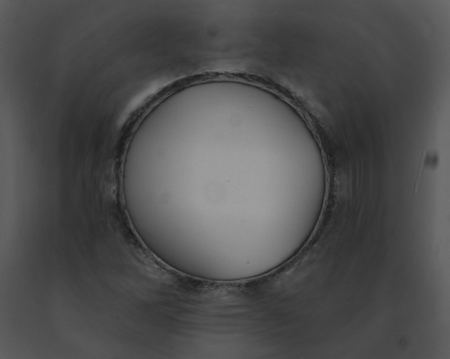 X0000091511262200708311219