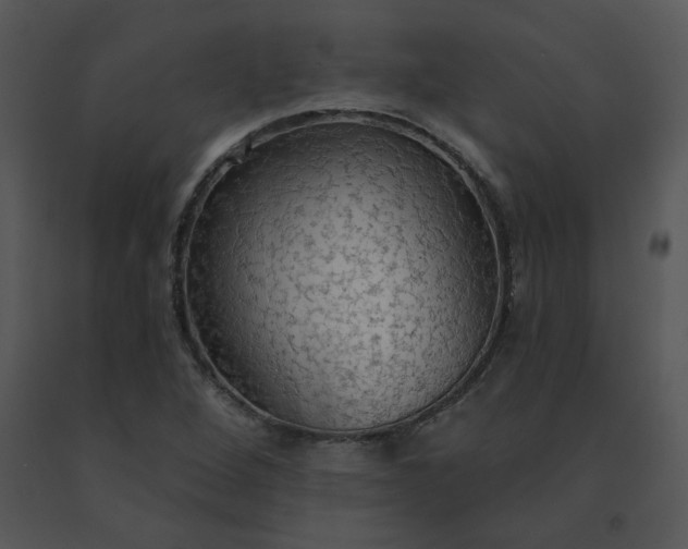 X0000091511264200708311219