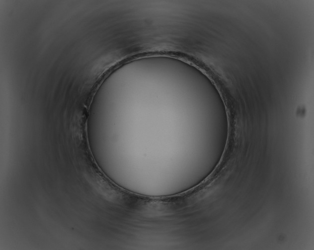 X0000091511265200708311219