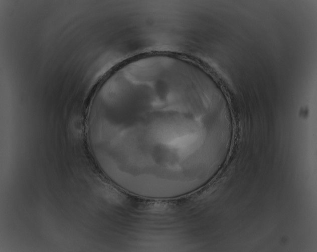 X0000091511266200708311219