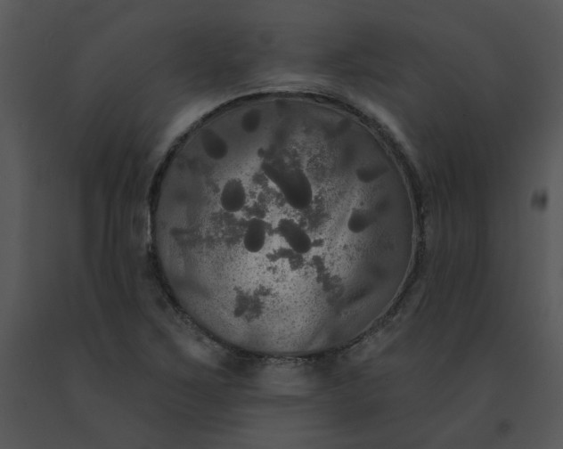 X0000091511267200708311219