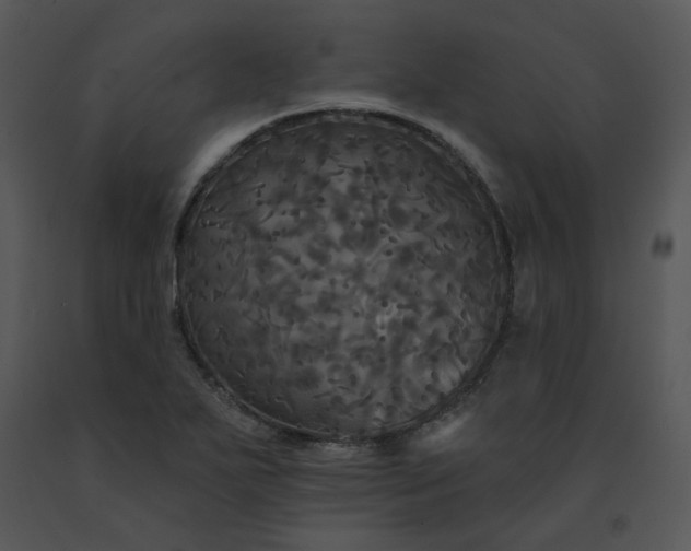 X0000091511271200708311219