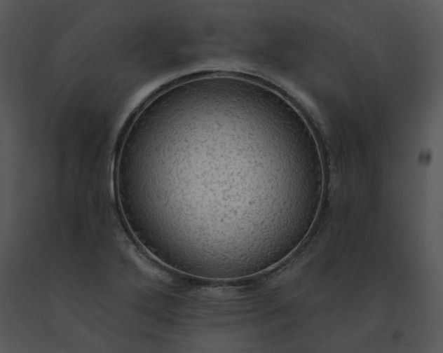 X0000091511272200708311219