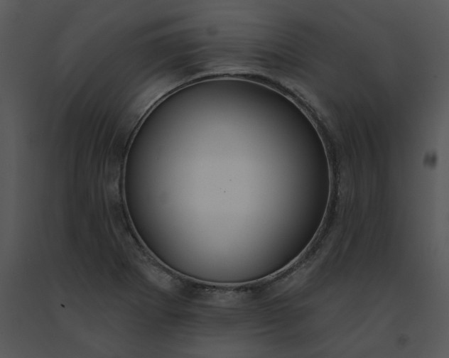 X0000091511273200708311219