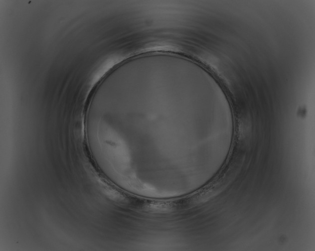 X0000091511274200708311219