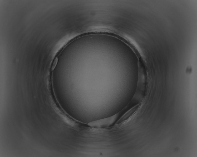 X0000091511277200708311219