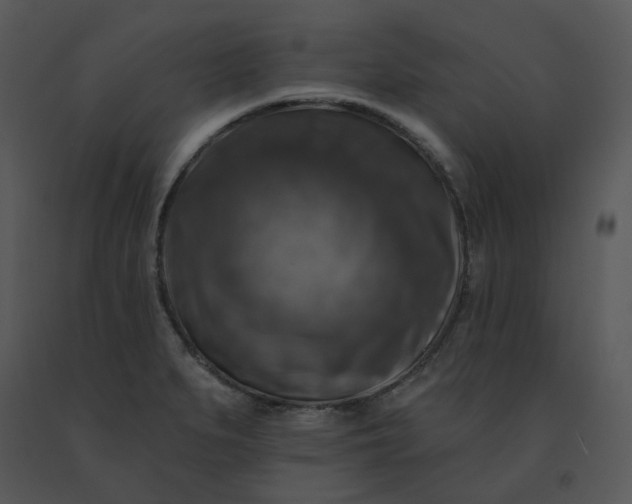 X0000091511279200708311219