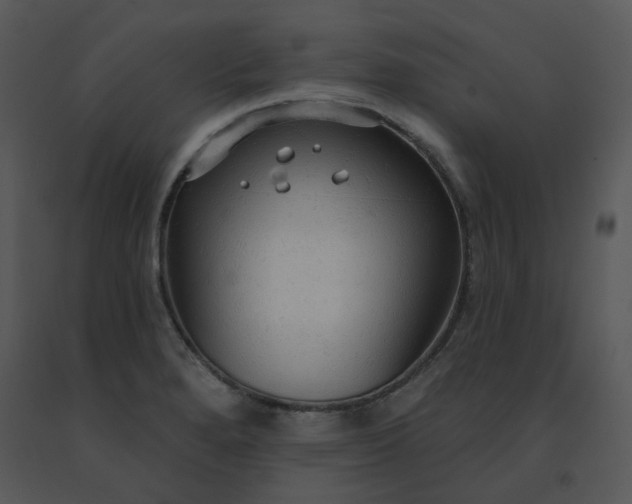 X0000091511280200708311219