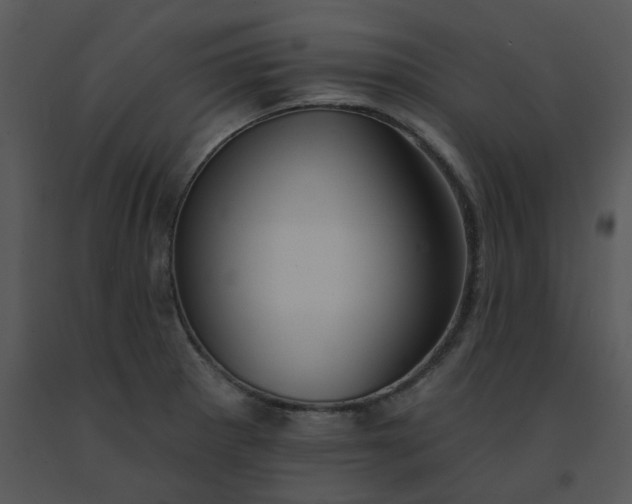 X0000091511281200708311219