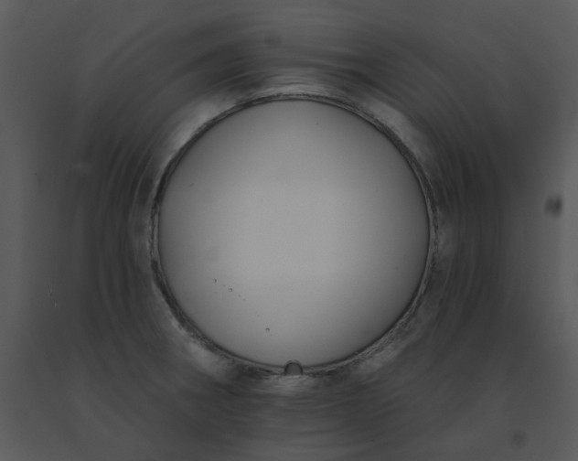 X0000091511282200708311219