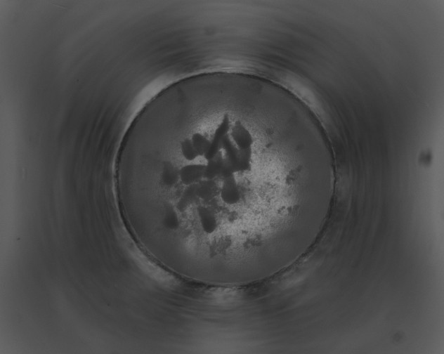 X0000091511283200708311219