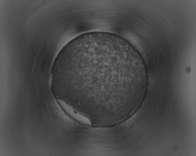 X0000091511284200708311219