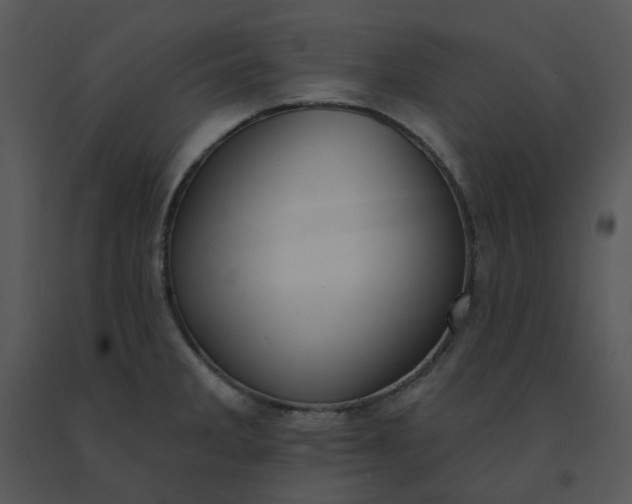 X0000091511285200708311219