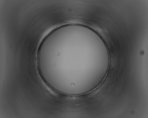 X0000091511286200708311219