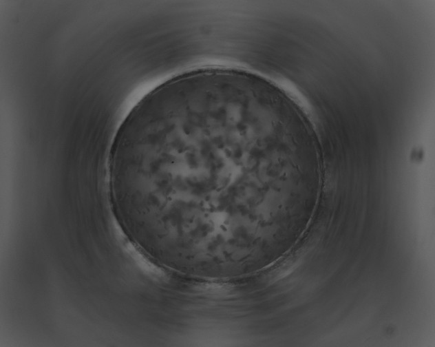 X0000091511287200708311219