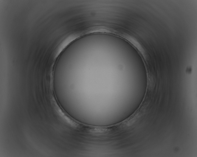 X0000091511290200708311219