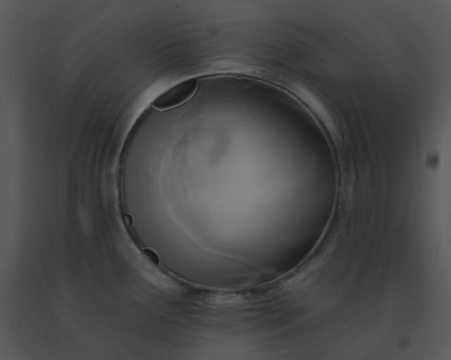 X0000091511291200708311219