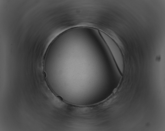 X0000091511292200708311219