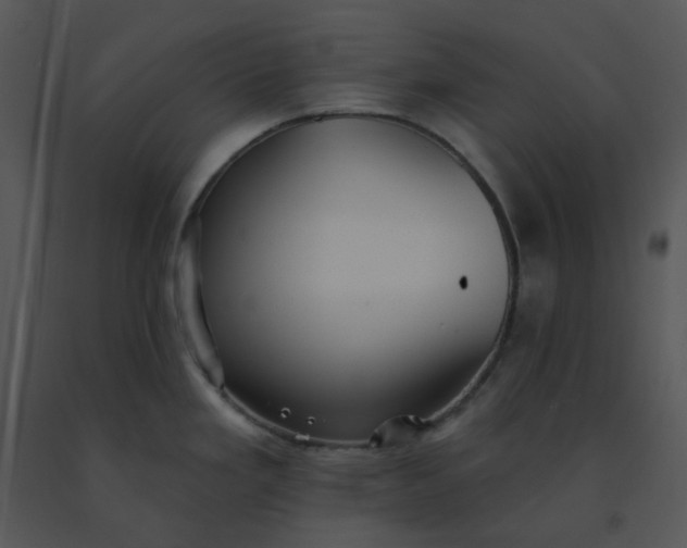 X0000091511293200708311219