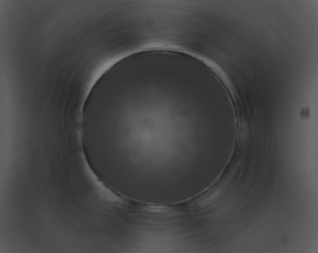 X0000091511295200708311219