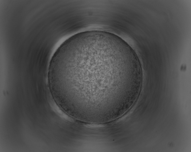 X0000091511296200708311219