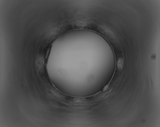 X0000091511299200708311218