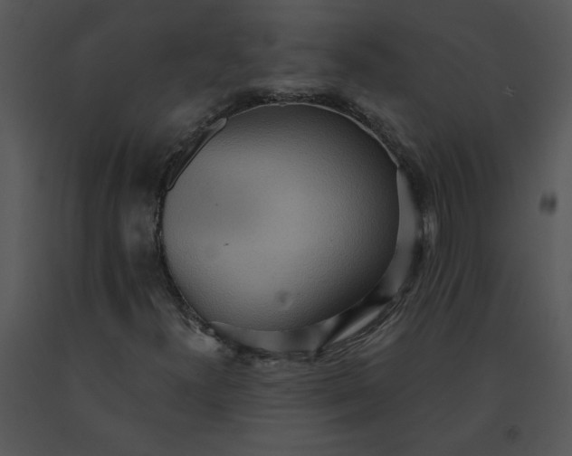 X0000091511300200708311218