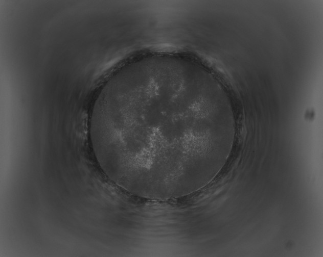 X0000091511301200708311218