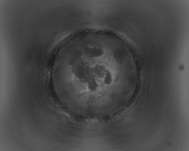 X0000091511302200708311218