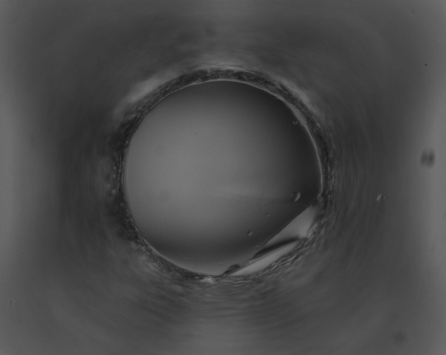 X0000091511303200708311218