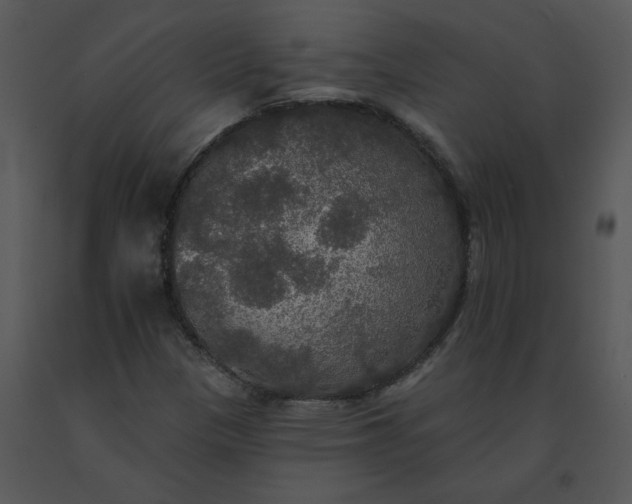 X0000091511305200708311218