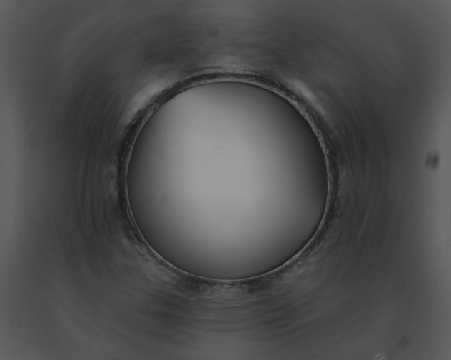 X0000091511307200708311219