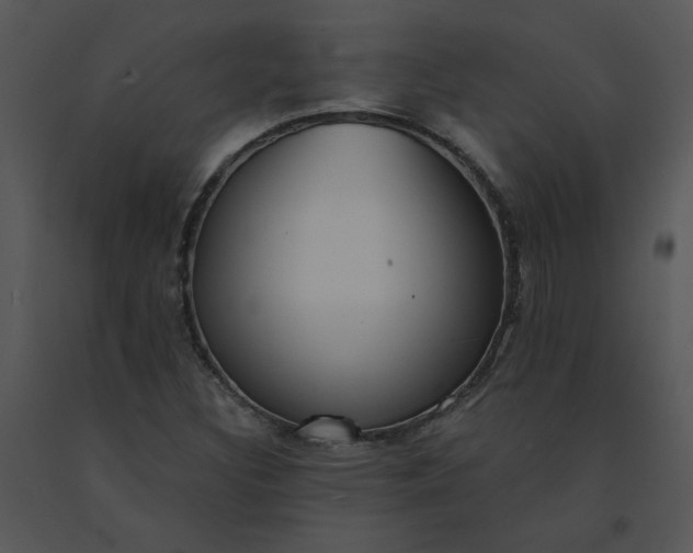 X0000091511308200708311219