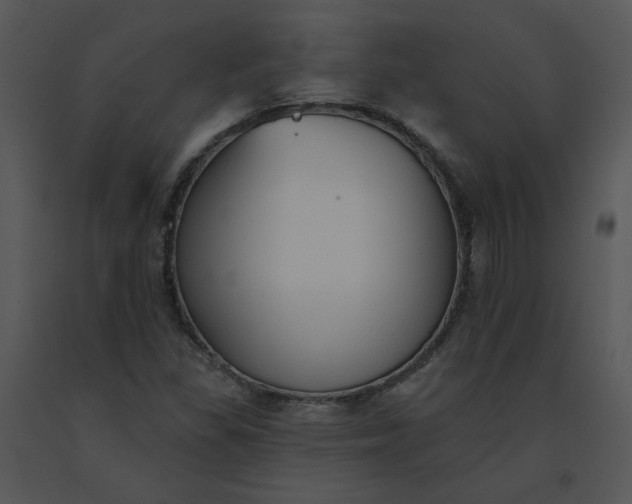 X0000091511309200708311219