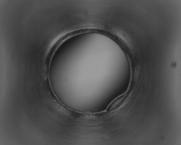 X0000091511310200708311219