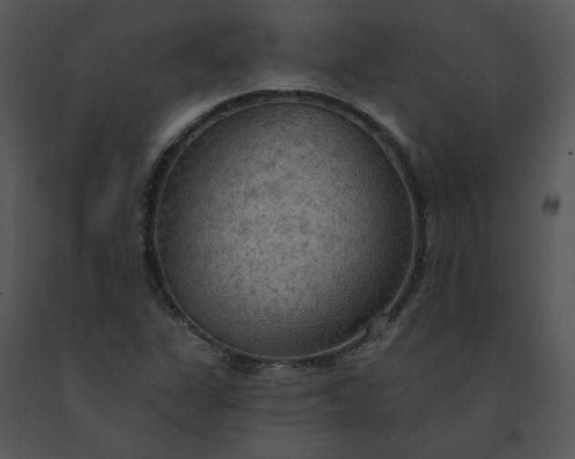 X0000091511311200708311219