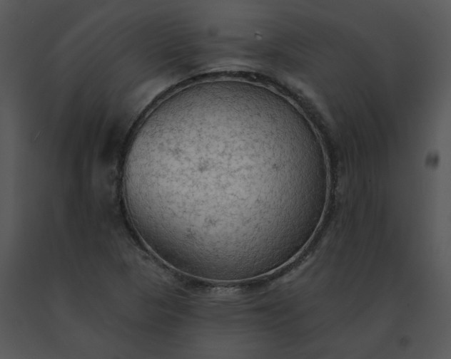 X0000091511313200708311219