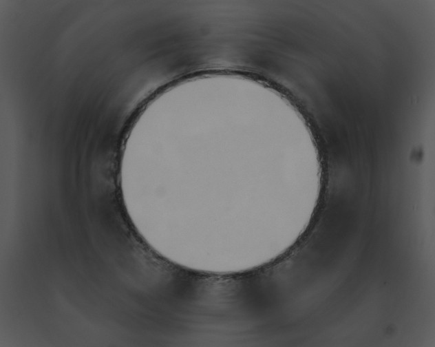 X0000091511314200708311219