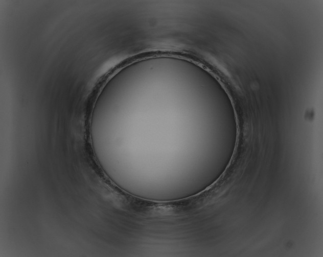 X0000091511315200708311219