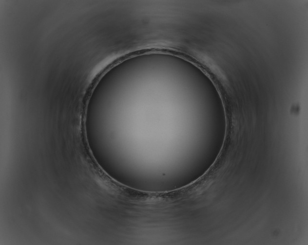 X0000091511316200708311219