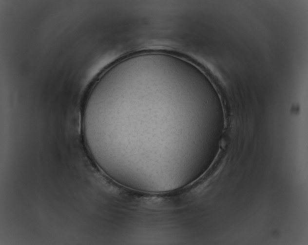 X0000091511317200708311219